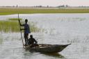 Piroga na reki Niger